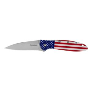 Kershaw Leek Folding Knife 3" Drop Point Blade USA Flag