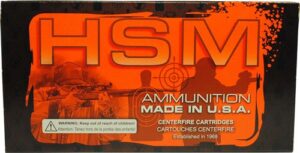 HSM 300 AAC 220GR SUBSONIC - BTHP 20RD 25BX/CS